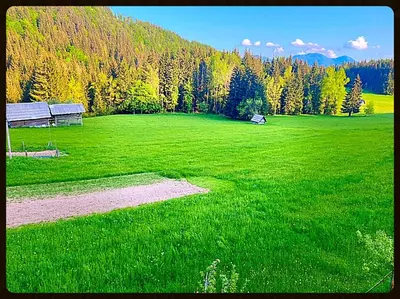 a large green field with a barn in the middle at Hiška pri Vrjaku in Bohinjska Bistrica