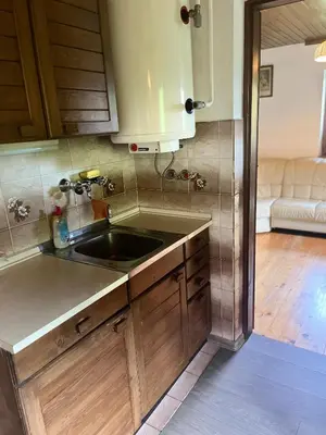 a kitchen with a sink and a couch at Hiška pri Vrjaku in Bohinjska Bistrica
