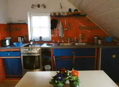 a kitchen with blue cabinets and a table with flowers on it at Apartment Tagrajska in Ljubljana