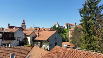 a view of roofs of houses with a tree at Rooms Hiša Divino in Ptuj