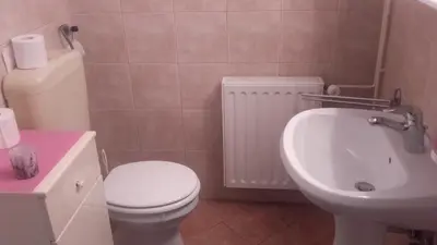 a bathroom with a white toilet and a sink at Apartment Bric in Kobarid