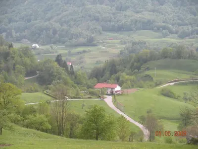 a winding road through a green field with trees at Apartment Bric in Kobarid