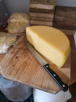 a block of cheese on a cutting board with a knife at Apartment Bric in Kobarid