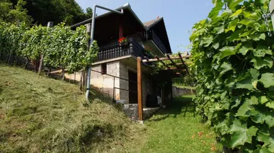 a house in a vineyard with a bunch of grapes at Holiday home in Semic - Kranjska (Krain) 26078 in Semič