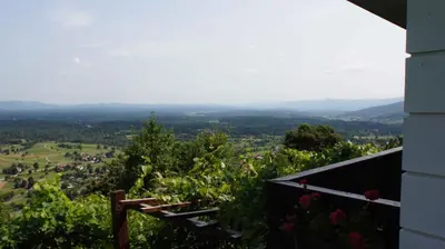 a view of a vineyard from a house at Holiday home in Semic - Kranjska (Krain) 26078 in Semič