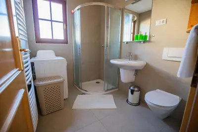 a bathroom with a shower and a toilet and a sink at Apartment Jurič in Maribor