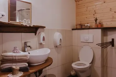 a bathroom with a white sink and a toilet at Koroška hiša Pri lipi, Boutique hotel in Muta