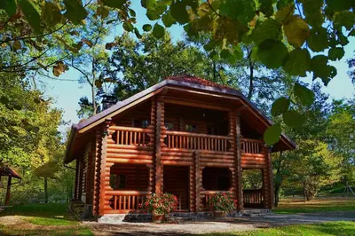 a log cabin with flowers in front of it at Luxury Chalet at Podlipje Estate in Tešanovci