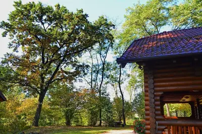 a log cabin with trees in the background at Luxury Chalet at Podlipje Estate in Tešanovci