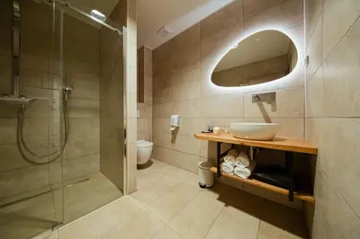a bathroom with a sink and a shower at Rooms at Podlipje Estate in Tešanovci