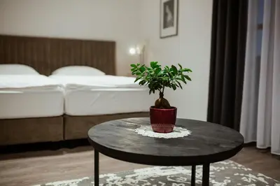 a potted plant sitting on a table in a bedroom at Rooms at Podlipje Estate in Tešanovci