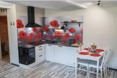 a kitchen with red poppies on the wall at Apartma in wellness Čista fantazija in Velika Polana