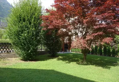 two trees in a yard with a fence at Sobe Vera in Bovec