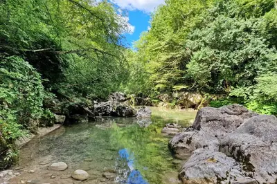 a river in a forest with rocks in the water at Mobilna hiška Lebanč in Breginj