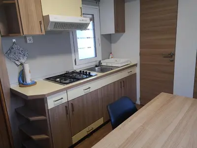 a kitchen with a stove and a sink and a table at Mobilna hiška Lebanč in Breginj