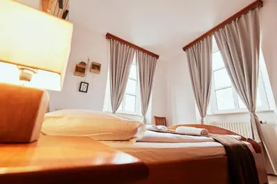 a bedroom with a bed and two windows at Rooms & Restaurant Ostarija in Dolenjske Toplice