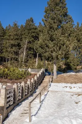 a wooden path in the snow with a tree at Apartmaji Ježek Kope in Šmartno pri Slovenj Gradcu