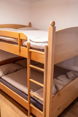 a bunk bed with a ladder in a room at Apartmaji Ježek Kope in Šmartno pri Slovenj Gradcu
