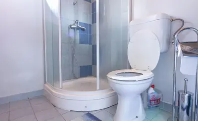 a bathroom with a toilet and a shower at Apartments Brunarica in Moravske Toplice