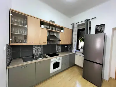 a kitchen with a stainless steel refrigerator and a sink at Viktorija City Center Apartment in Ljubljana