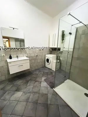 a bathroom with a shower sink and a washing machine at Viktorija City Center Apartment in Ljubljana