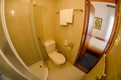 a bathroom with a toilet and a shower at Rooms Savinja in Laško
