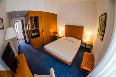 a small room with a bed and a television at Rooms Savinja in Laško