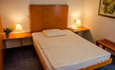 a small room with a bed with two tables and two lamps at Rooms Savinja in Laško