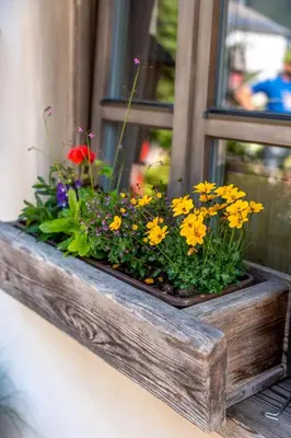 a wooden window box with flowers in it at Apartments Julijana in Kranjska Gora