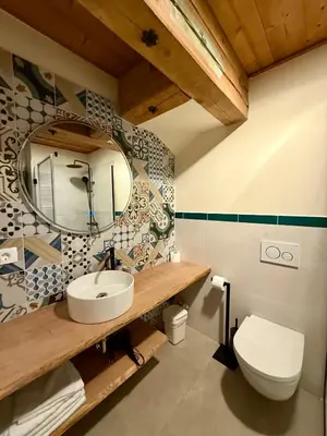 a bathroom with a toilet and a sink and a mirror at Apartments Julijana in Kranjska Gora