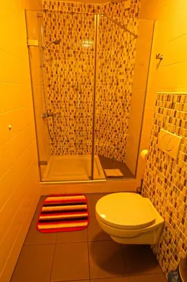 a bathroom with a shower and a toilet and a rug at Apartments Maligoj in Tolmin