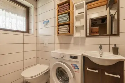 a bathroom with a washing machine and a sink at Podhamer Wellness Vineyard Cottages in Ljutomer