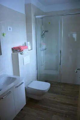a bathroom with a shower and a toilet and a sink at Apartmaji Kobal in Zoll