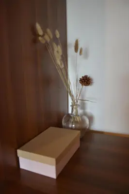 a vase of flowers sitting on a table with a box at Apartmaji Kobal in Zoll