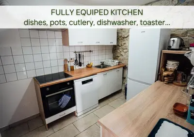 a kitchen with a sink and a stove top oven at Villa Lapis - stone house with amazing view in Črni Kal