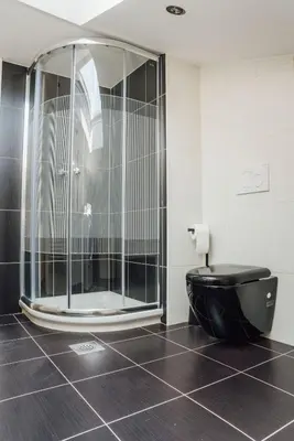 a bathroom with a shower with a black toilet at Palace Garden in Ljubljana