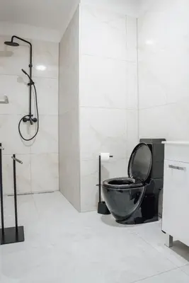 a bathroom with a black toilet and a shower at Palace Garden in Ljubljana
