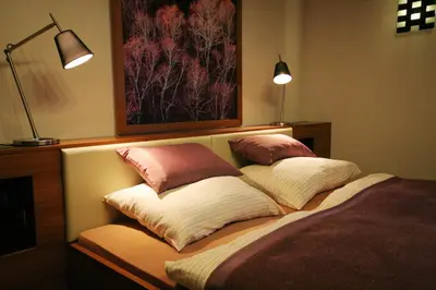 a bed with three pillows on top of it at Apartment Na Krki in Kostanjevica na Krki