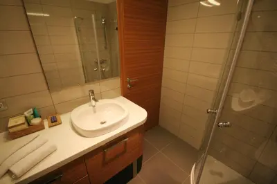 a bathroom with a sink and a shower at Apartment Na Krki in Kostanjevica na Krki