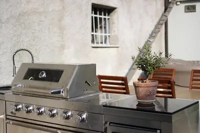 a kitchen with a grill and a potted plant on a table at Apartment Na Krki in Kostanjevica na Krki