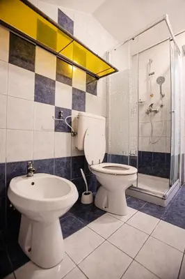 a bathroom with a toilet and a shower and a sink at Apartments Bells of Ljubljana - 3 cosy apartment Private Free Parking in Ljubljana
