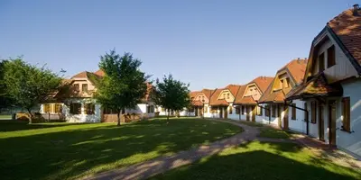 a row of houses in a yard with a driveway at Apartma Trobentica 15 in Moravske Toplice