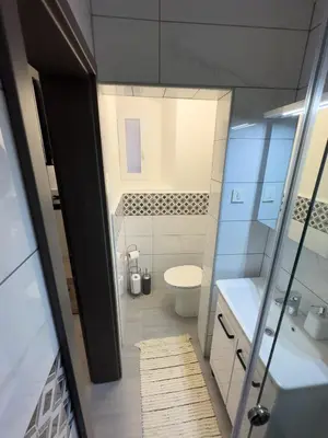 a small bathroom with a toilet and a sink at Apartments Adamas in Celje