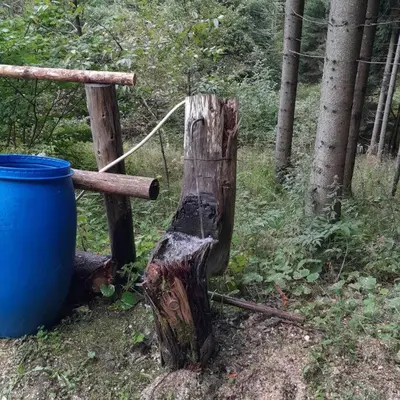 a tree stump with a bucket sitting next to a wooden bench at Wooden Treasure in Jesenice