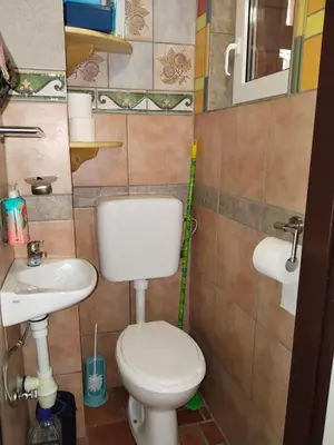 a bathroom with a toilet and a sink at Wooden Treasure in Jesenice