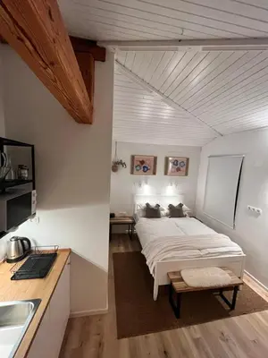 a bedroom with a large bed in a room at Studio Apartment Jož' in Spodnja Lipnica