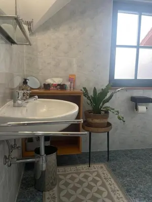 a bathroom with a sink and a potted plant at Apartment on the ski slope Pohorje 11 in Pohorje