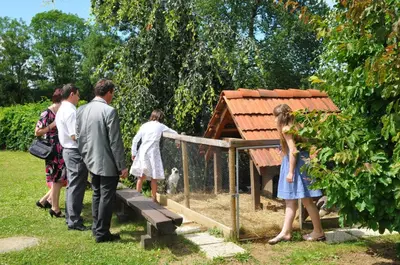 a group of people looking at a bird in a bird house at Gostišče - Guest house STARI HRAST in Ljutomer