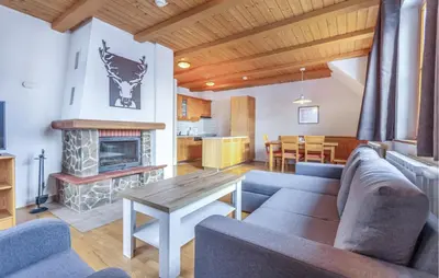 a living room with a couch and a fireplace at Stunning Apartment In Pohorje With Wifi in Pohorje