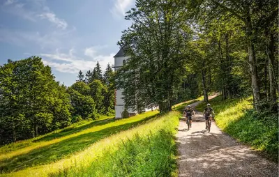 two people riding bikes down a dirt road at Awesome Apartment In Pohorje in Pohorje
